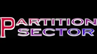 Partition Sector