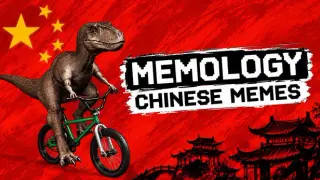 MEMOLOGY: CHINESE MEMES
