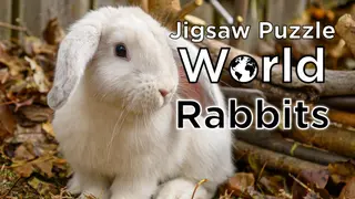Jigsaw Puzzle World - Rabbits