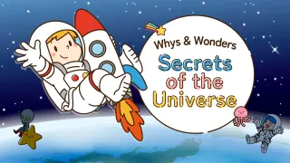 Whys & Wonders Secrets of the Universe - Switch