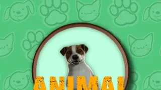 Animal Shelter Simulator - Switch