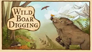 Wild Boar Digging