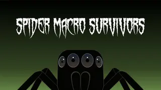 Spider Macro Survivors