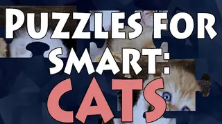Puzzles for smart: Cats