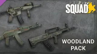 Squad Weapon Skins - Woodland Camo Pack