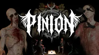 Pinion