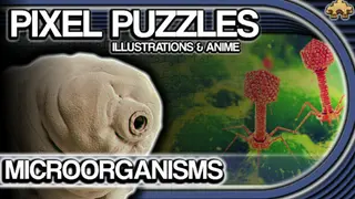Pixel Puzzles Illustrations & Anime - Jigsaw Pack: Microorganisms