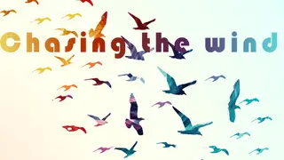 Chasing the wind