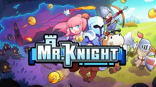 Mr.Knight