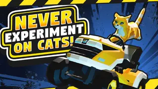 Never Experiment On Cats!