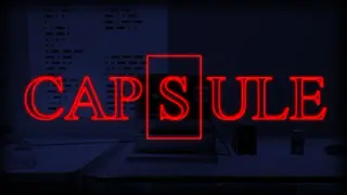Capsule