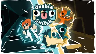 Double Pug - Switch