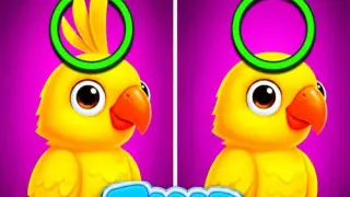 Find Difference - Switch