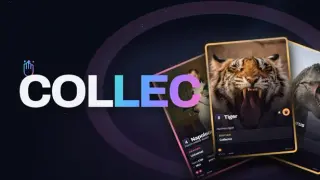 Collec