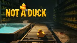 Not a Duck