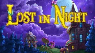 Lost in Night