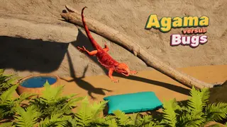 Agama versus Bugs