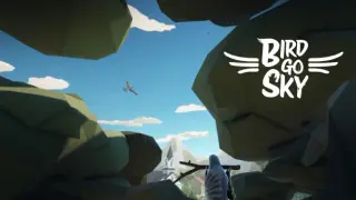 Bird Go Sky