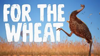 For The Wheat