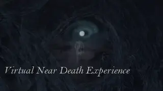 Virtual Near Death Experience