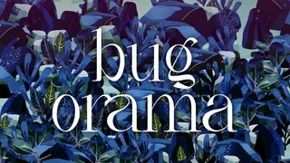 Bugorama
