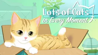 Lots of Cats in Every Moment