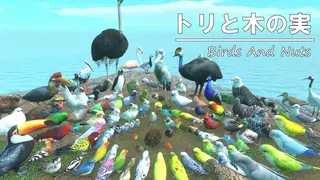 Birds and Nuts