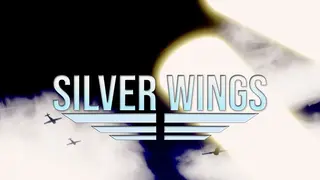 Silver Wings