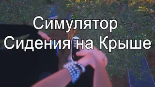 Симулятор Сидения на Крыше
