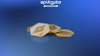 SPLITGATE - 100 Splitcoin
