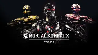 Triborg