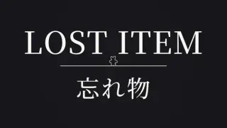Lost Item