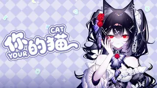 你的猫