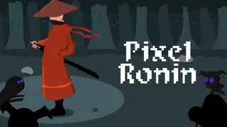 Pixel Ronin