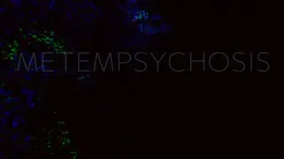 Metempsychosis