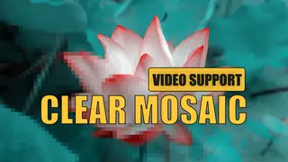 Clear Mosaic - Video support