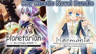 VisualArts/Key Kinetic Novel Bundle
