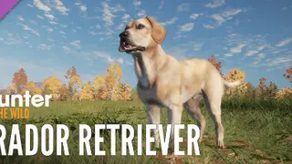 theHunter: Call of the Wild™ - Labrador Retriever Ultimate