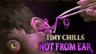 Tiny Chills - Not From Ear