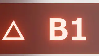B1