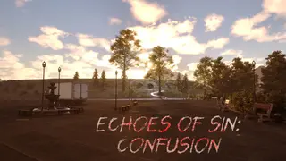 Echoes of Sin: Confusion
