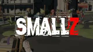 SmallZ