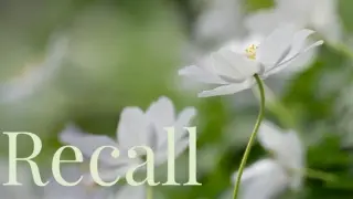 Recall