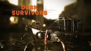 Dusk Survivors