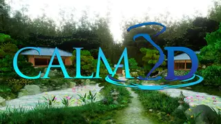 Calm3D