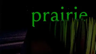 Prairie