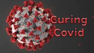 Curing Covid