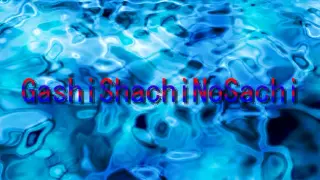 GashiShachiNoSachi