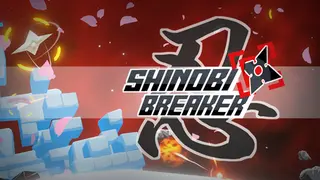 Shinobi Breaker