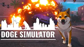 Doge Simulator